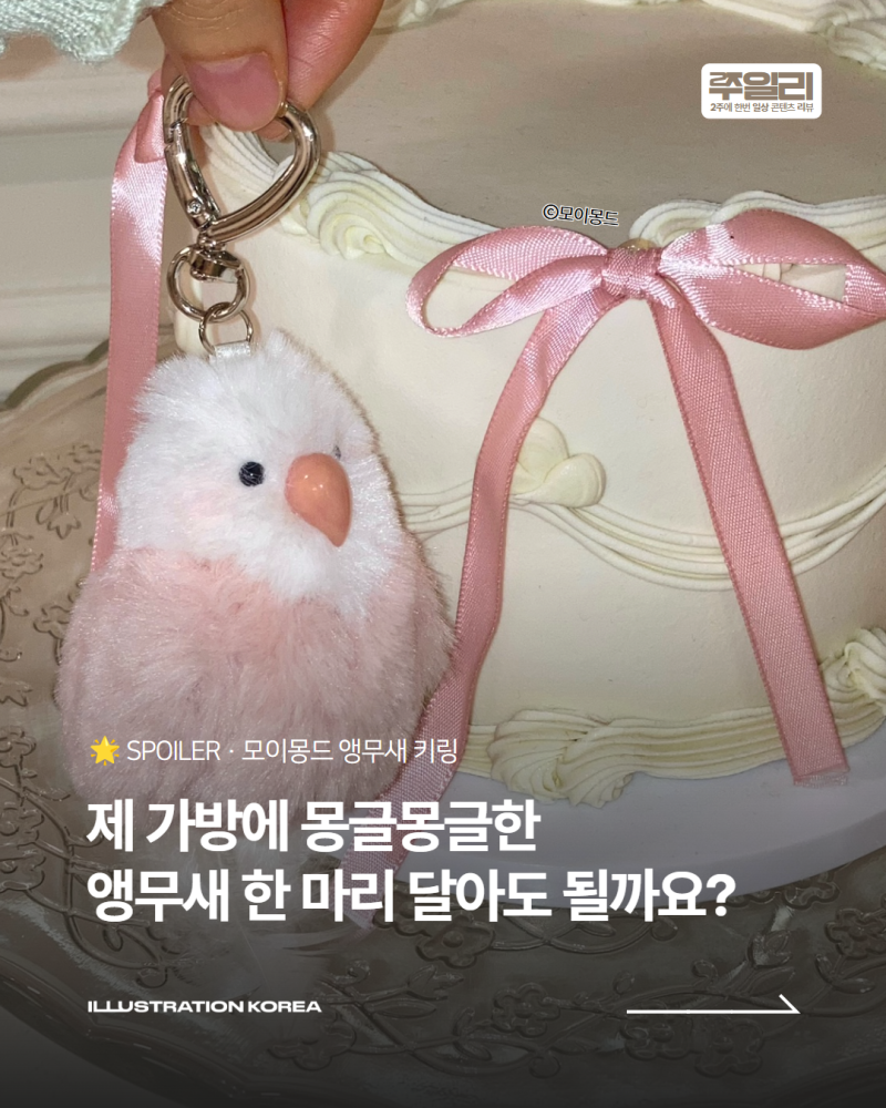 쭈일리 매거진 – 모이몽드