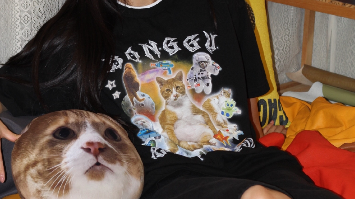 우리 고양이 이렇게 귀여운데 다들 봐줬으면 해서 시작했어요