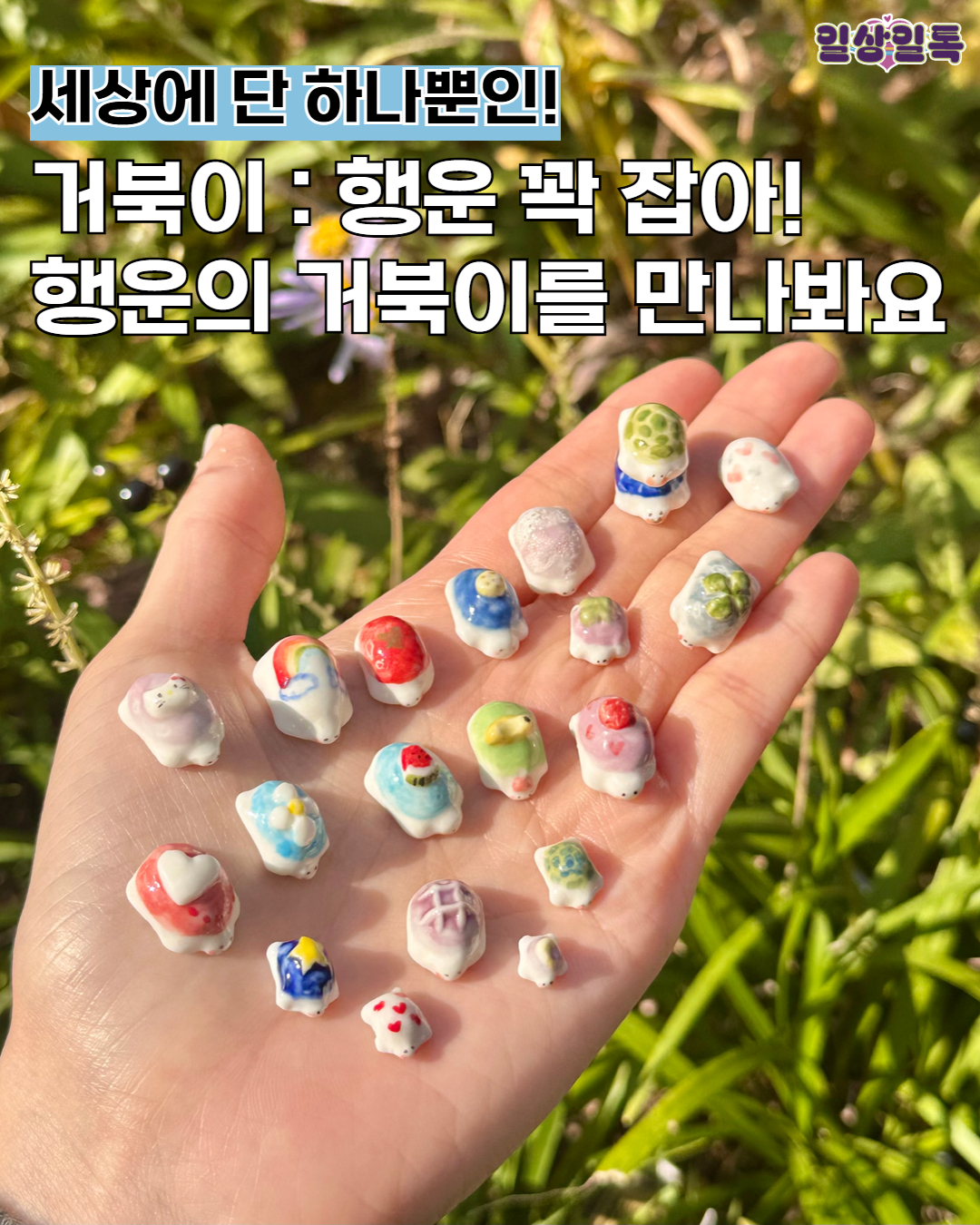 🍀꽉 잡아! 행운을 전달해 줄 행운의 거북이