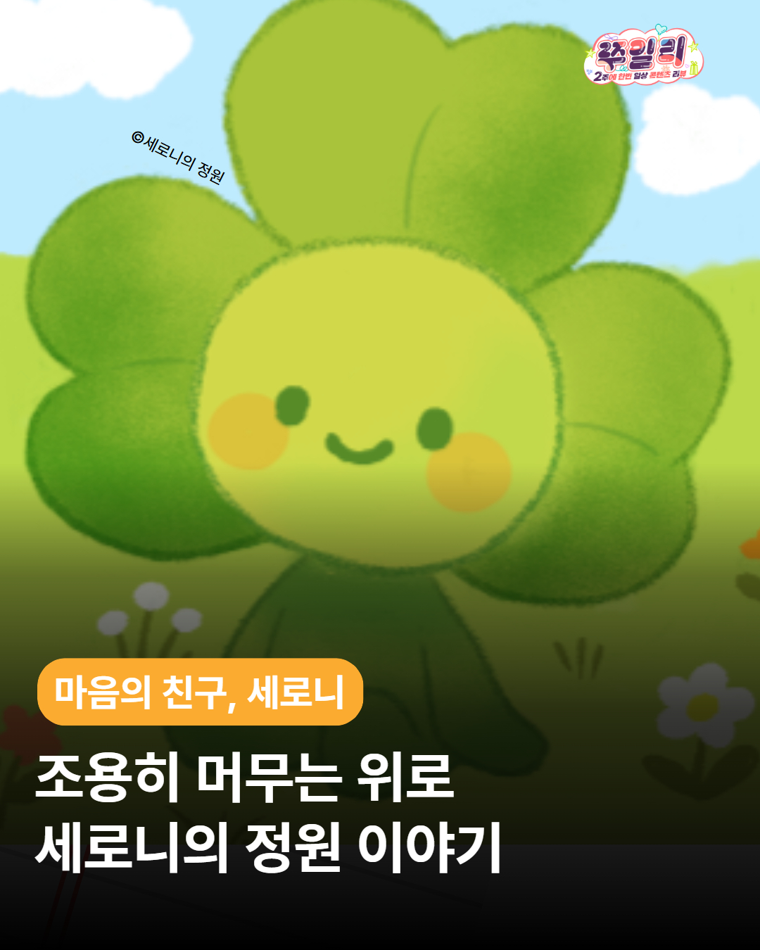 🌿 조용히 머무는 위로, 세로니의 정원