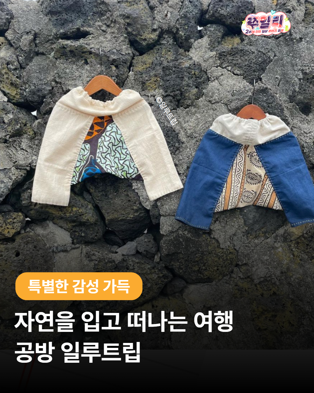 🍀자연을 입고 떠나는 여행, 일루트립🧭