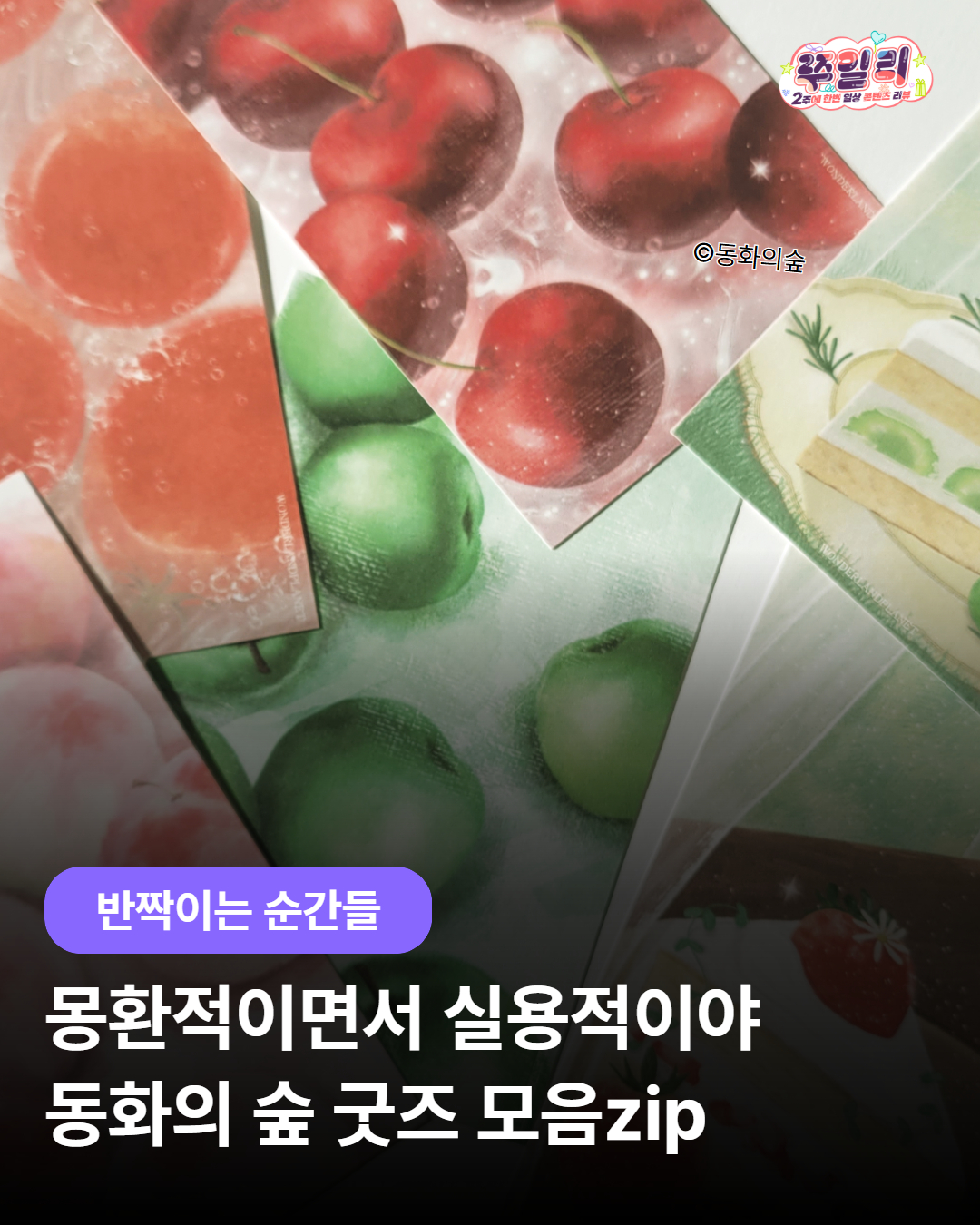 몽환적이면서 실용적이야💫 동화의 숲 굿즈 모음zip