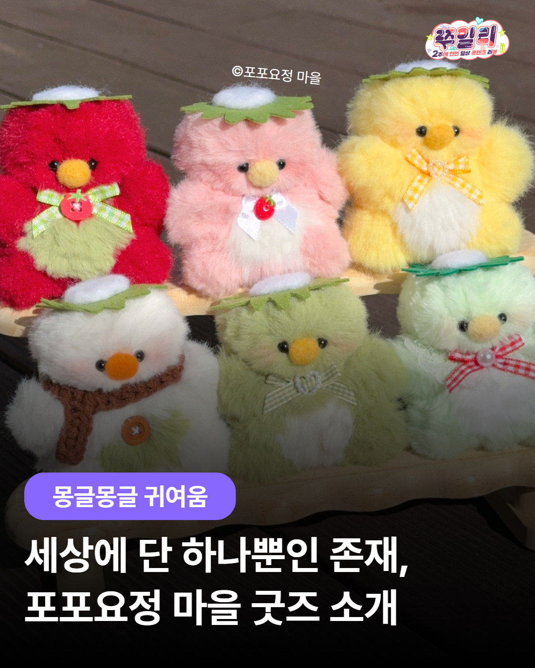 🧚‍♀️ 세상에 단 하나뿐인 존재, “포포요정 마을” 살펴보기