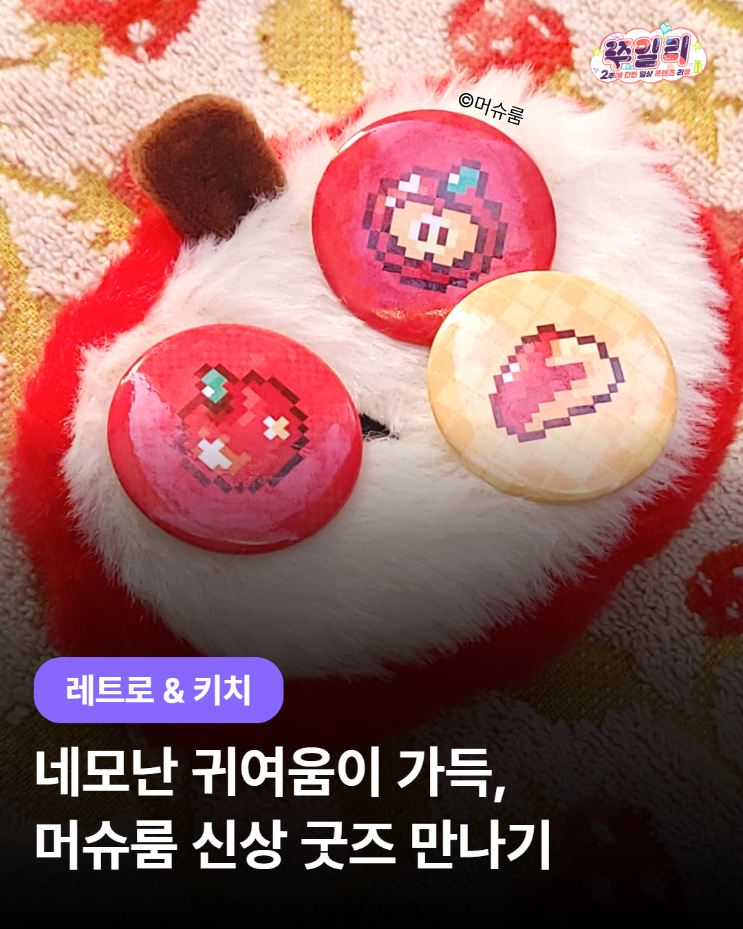 네모난 귀여움, 머슈룸 신상 굿즈 소개🍄‍🟫🍄