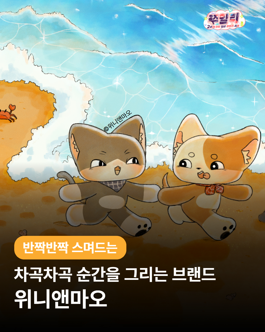 차곡차곡 순간을 그리는 브랜드, 위니앤마오 🐶🐱✨