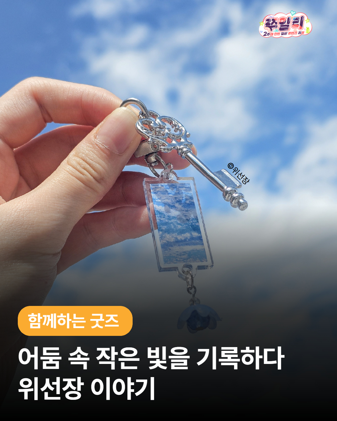 어둠 속 작은 빛을 기록하는 위선장✨📷