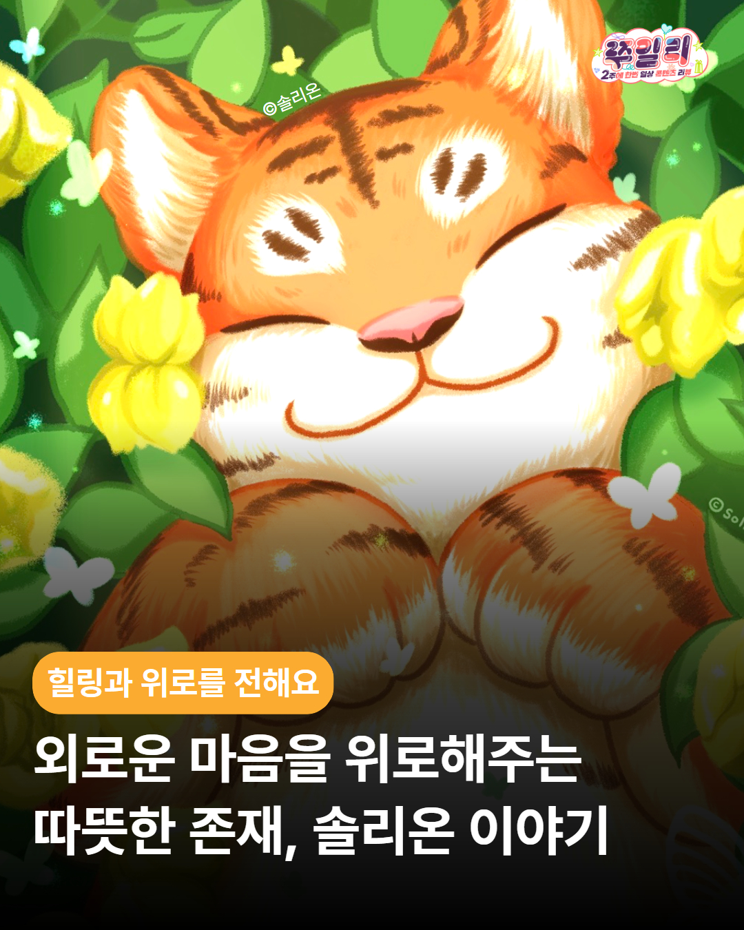 쭈일리_썸네일 1