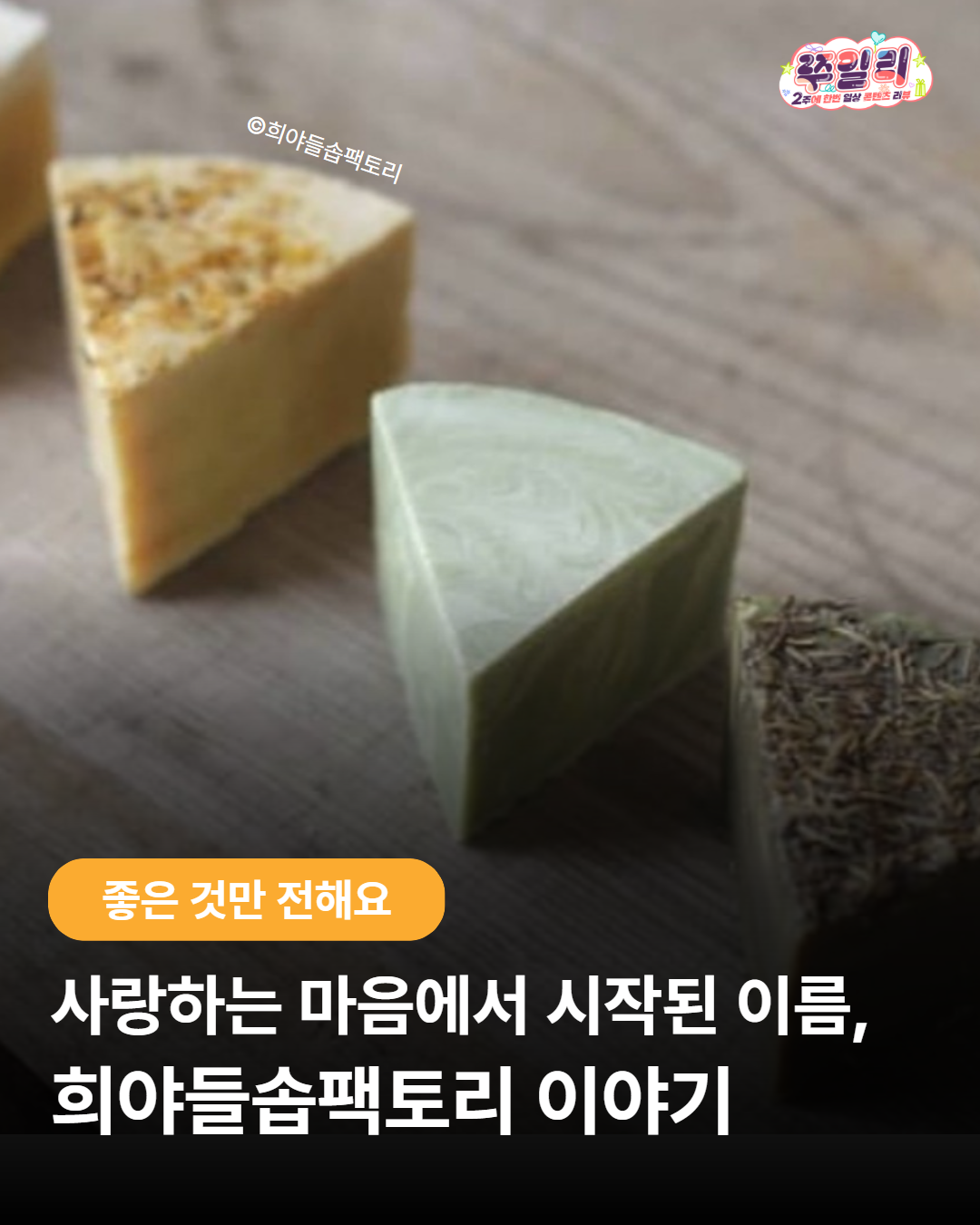 쭈일리-0519 2